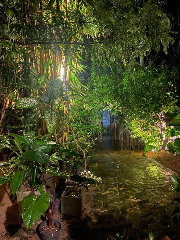 Art house hiriketiya - B&B Horagoda