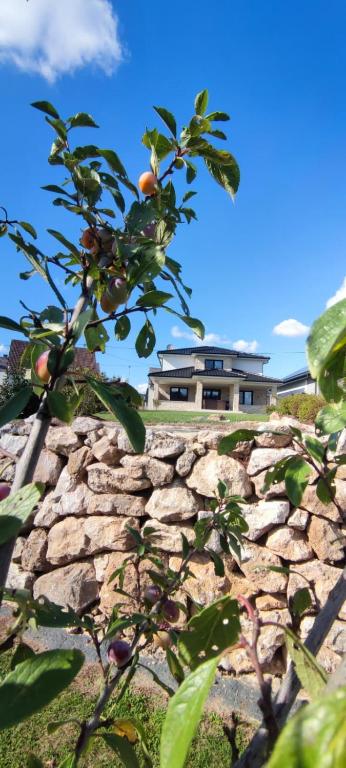 Eifelfinca - B&B Wiesbaum