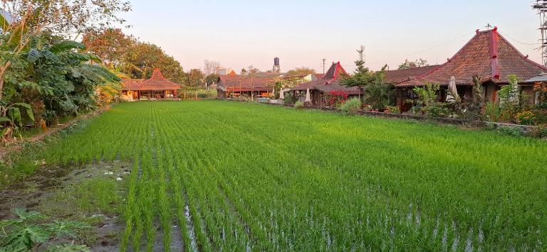 Alamanda Villas, Family Villas, Pool & Local Tours - B&B Yogyakarta