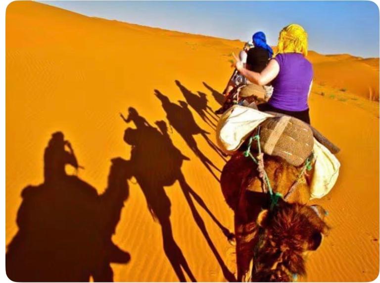 Desert Camel Trekking Camp - Bed and Breakfast Merzouga