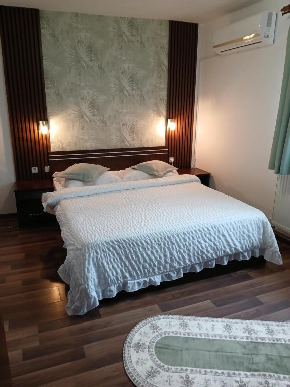 Casa Fabrizio - Ferienwohnung Călimăneşti