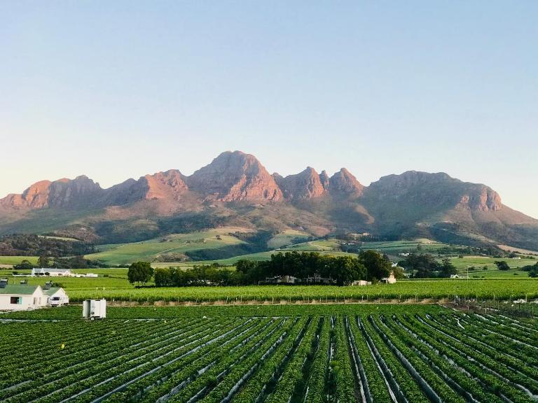 Naby-My Stellenbosch Cottage - B&B Stellenbosch