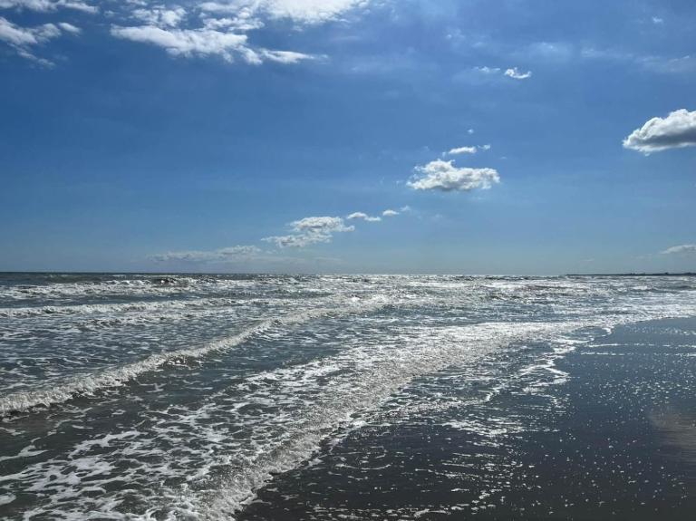 La Dolce Vita - Apartment with shared pool and large terrace - B&B Lido delle Nazioni
