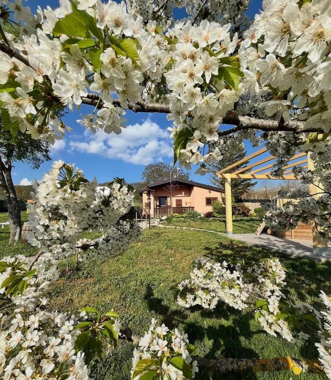 Casa Vacanze Galileo - B&B San Gregorio