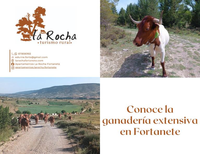 Apartamentos de Turismo Rural La Rocha - B&B Fortanete