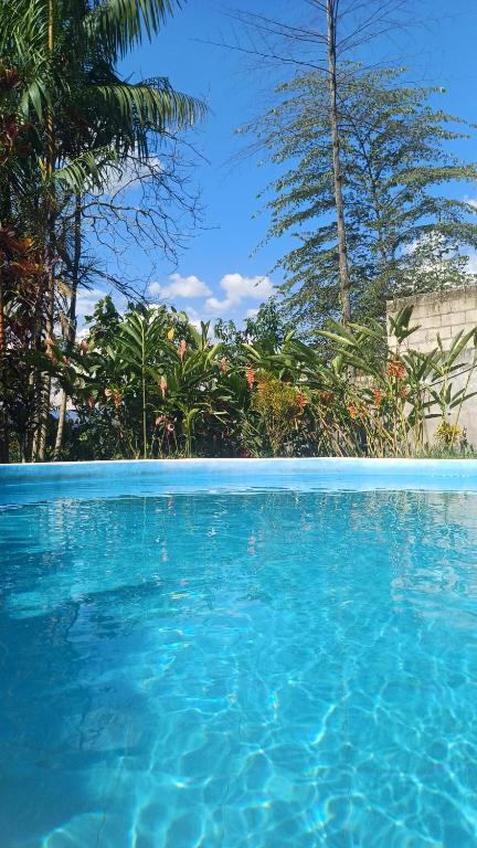 El Cacaotal Finca Faura #5 3H - B&B San Ramón