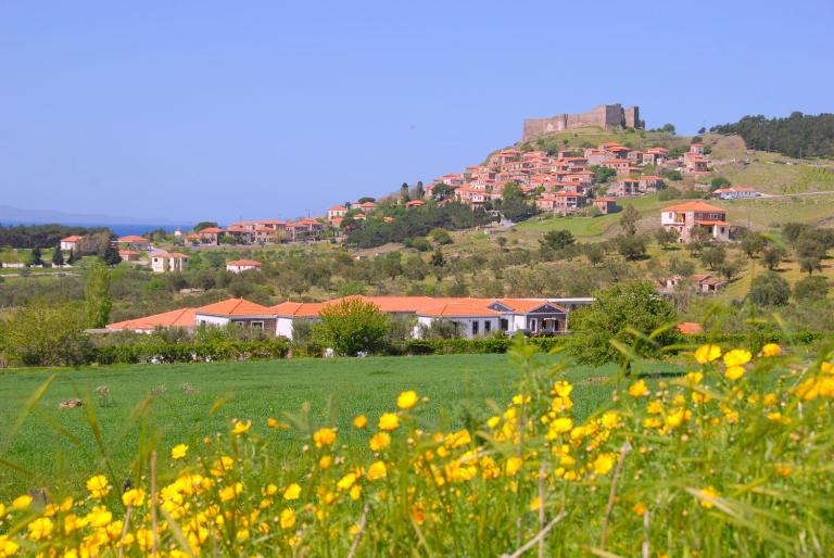 Elea Houses - B&B Míthymna