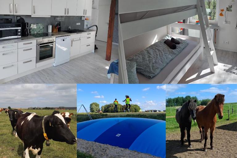 Sonnenblume - Bauernhof-Nordsee-Urlaub - B&B Norderfriedrichskoog