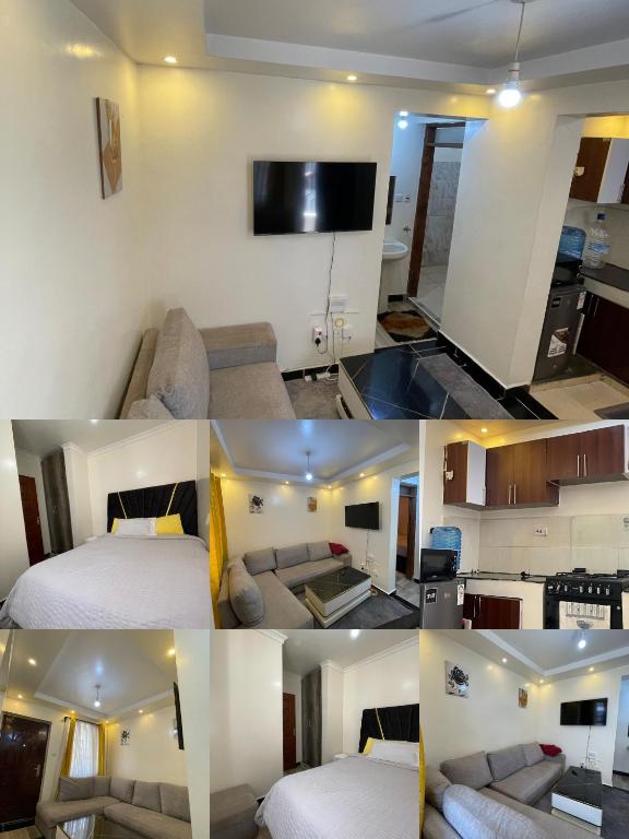 Thika Premium One Bedroom - B&B Thika