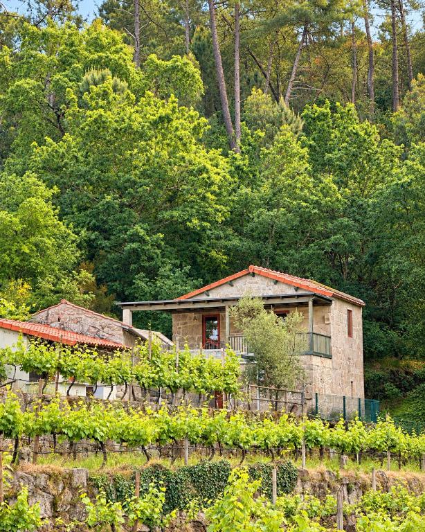 Casa do Valentinto - B&B Tangil