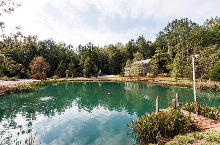 Ultimate Forest Hideaway with Pristine Acreage and Pond - B&B Castalia