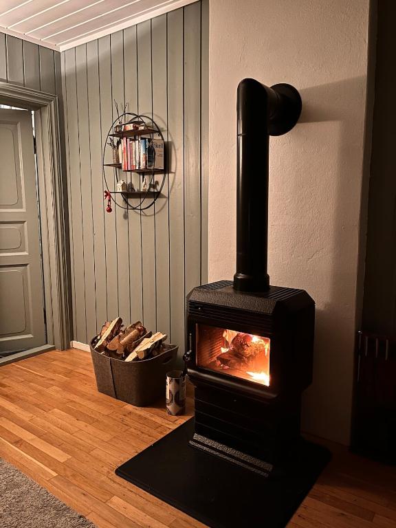Cozy, small house in the heart of Telemark - Ferienwohnung Vrådal