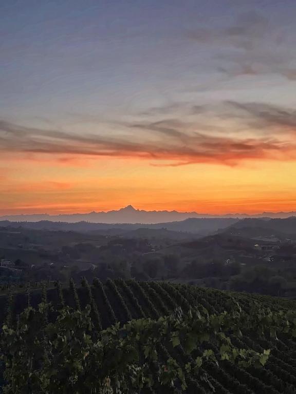 Agriturismo Tenuta ENA - B&B Nizza Monferrato