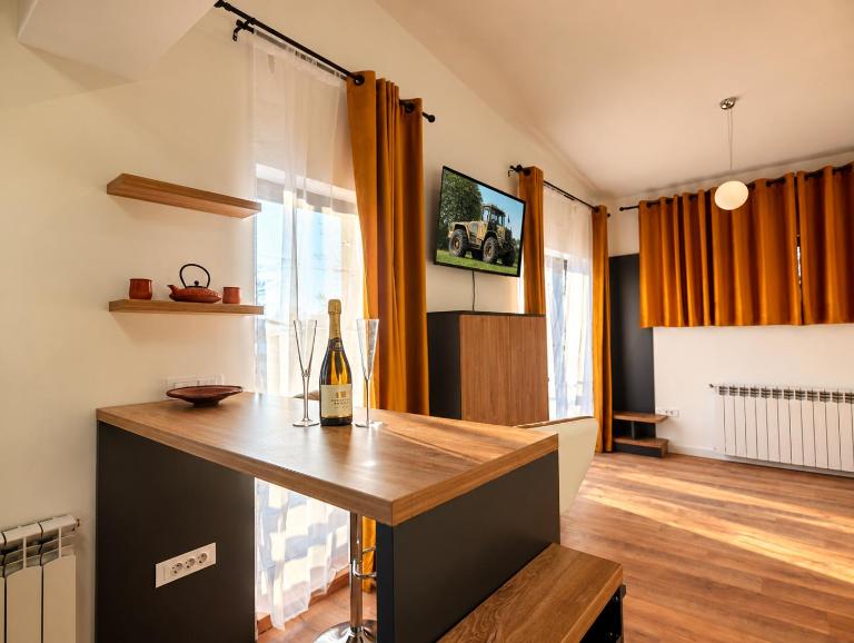 The Urban Retreat - Dominique Loft - B&B Iași