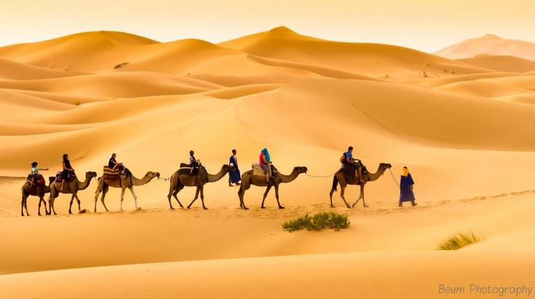 Camels House - B&B Merzouga