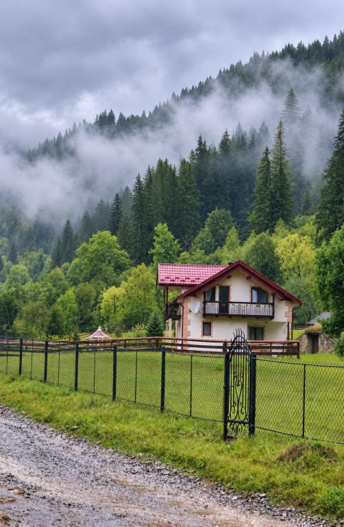 Pink House Karpaty - B&B Kryvorivnia