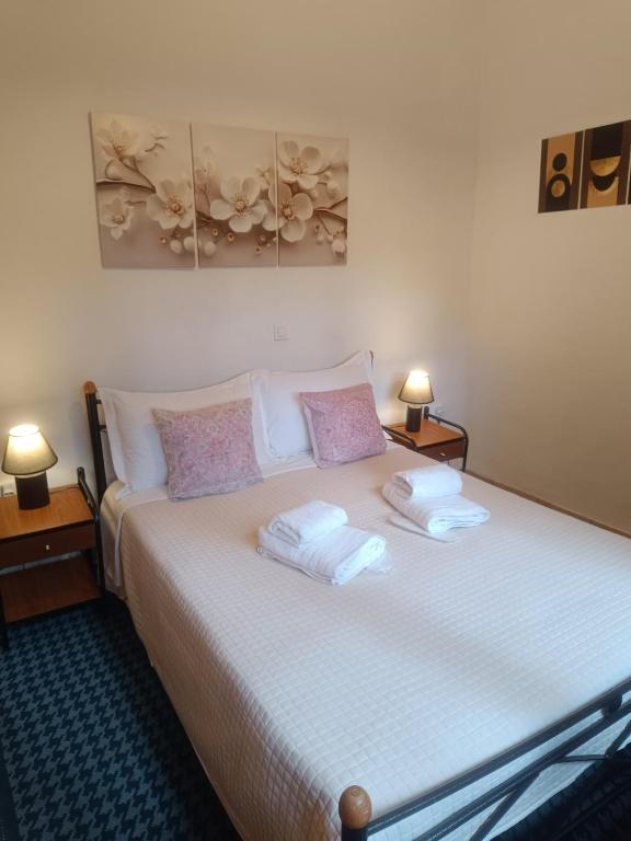 Delphion House - B&B Arachova