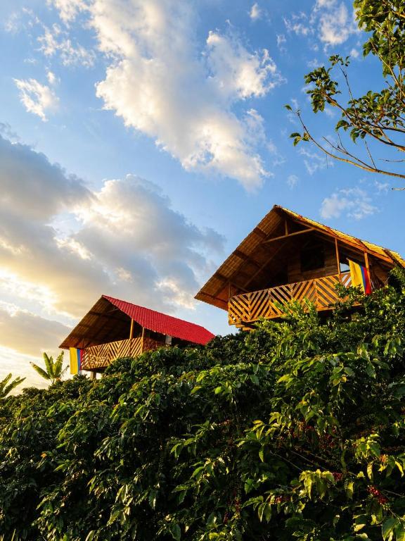 Mirador Boyacense Finca la Reforma - Chambres d'hôtes Pitalito