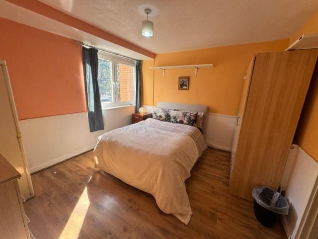 Bright Room in Shared Duplex - Borough, london - B&B London