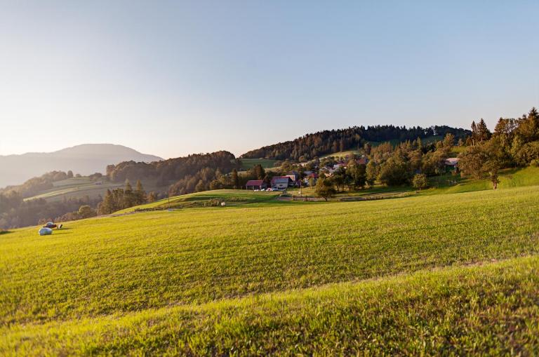 Apartmaji Pr-Gujlu Sela nad Podmelcem 5220 TOLMIN - B&B Podmelec