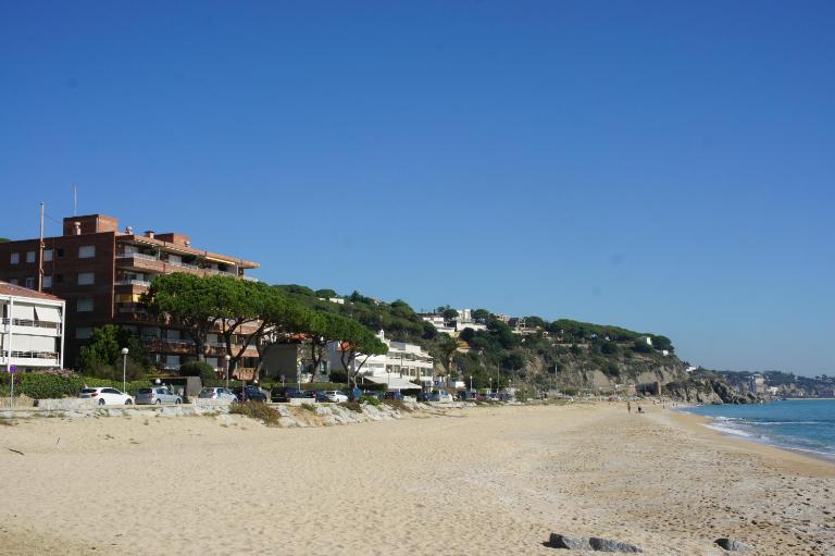 Musclera - B&B Arenys de Mar