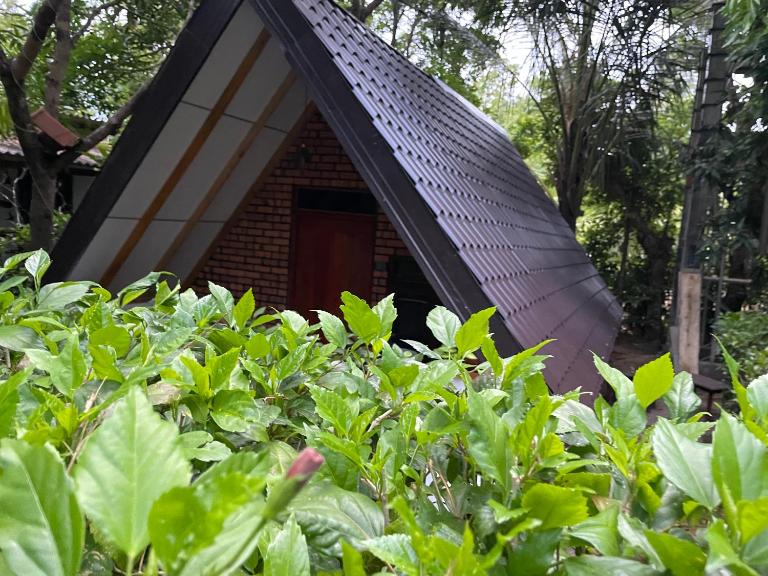 Osheen Homestay Sigiriya - B&B Sigiriya