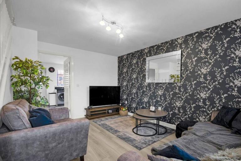Camelia Shoreline Verse - B&B Ilkeston