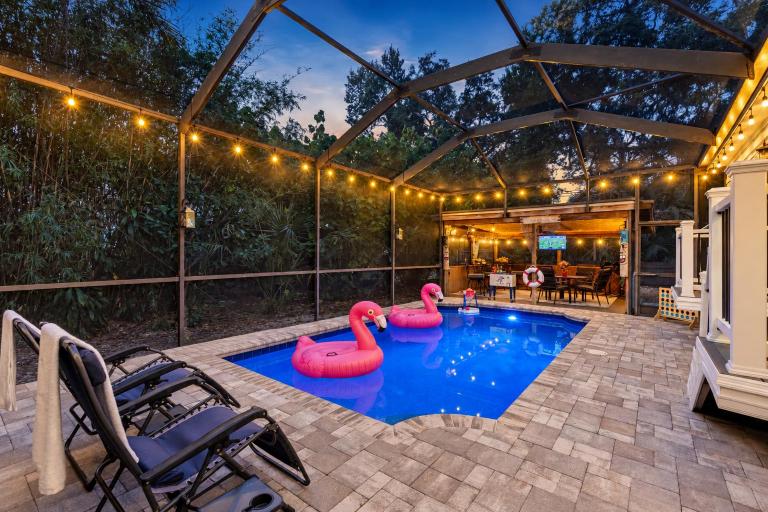 Amazing Heated & Screen Pool w Stunning Design! - B&B Palm Harbor