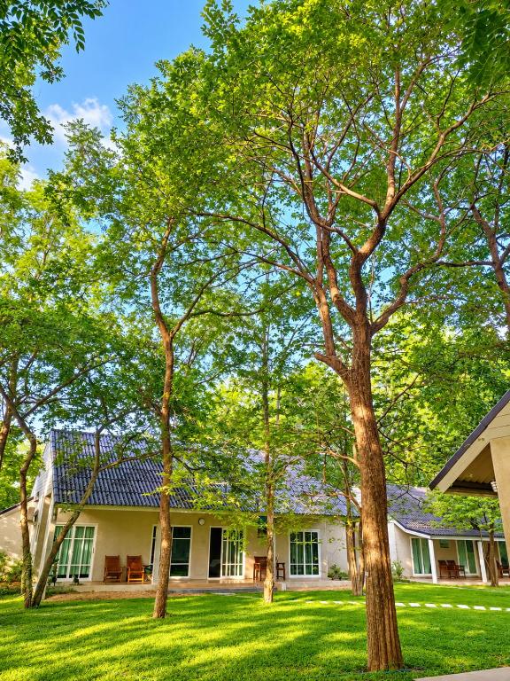 Into the Forest - B&B Ban Huai Talung