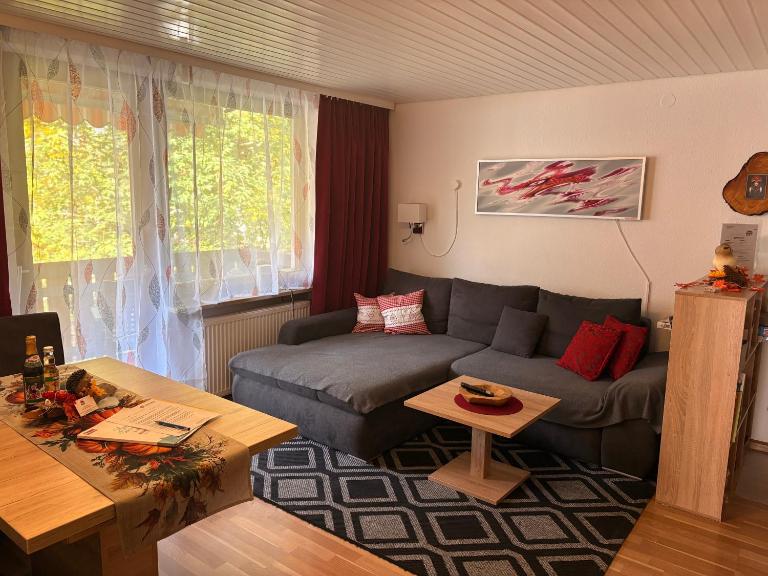 Gemütliche Ferienwohnung in Sankt Blasien - B&B Saint Blasien