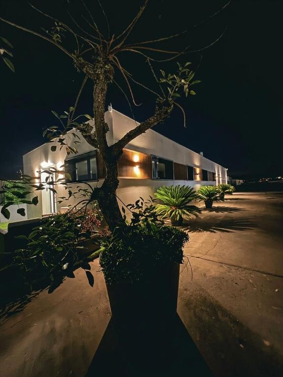 Asómate a Baiona - B&B Baiona