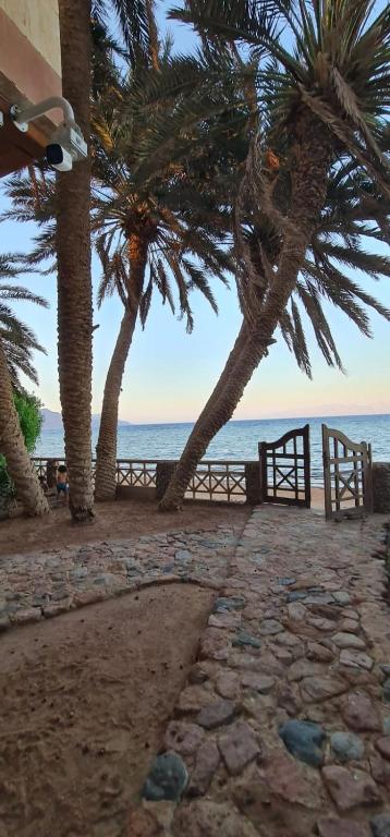 abeed house ard - B&B Dahab