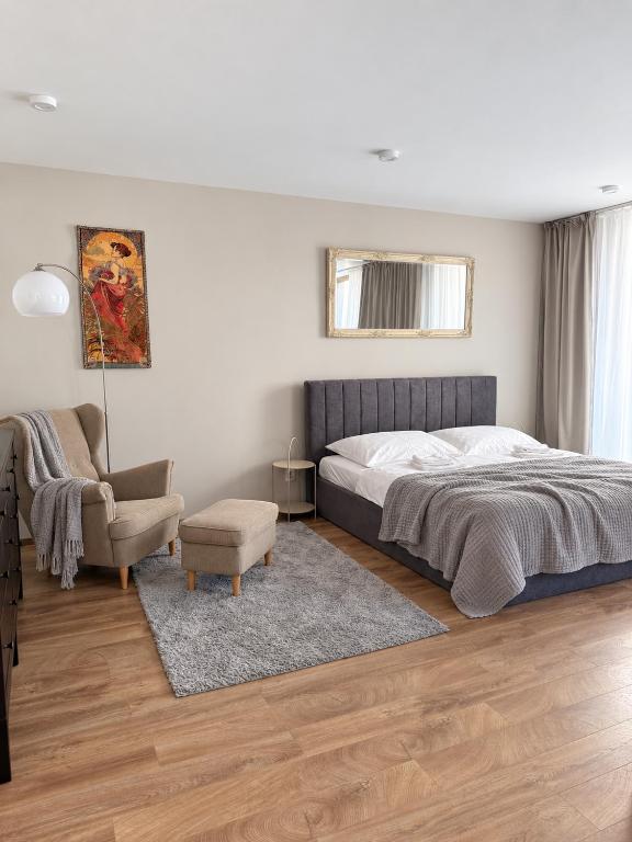 Veleslaveenka - Spacious Apartment in Pilsen Old Town - B&B Pilsen
