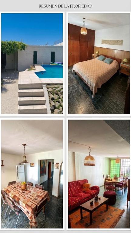 La Oliva - B&B San Martin