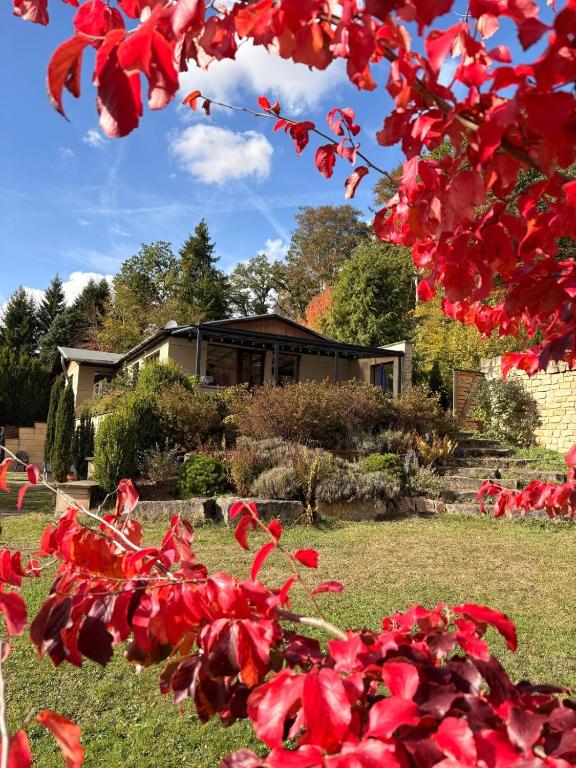 Ferienhaus Eifelgruß, in schöner Waldrandlage und tollem Naturgarten - B&B Oberbettingen