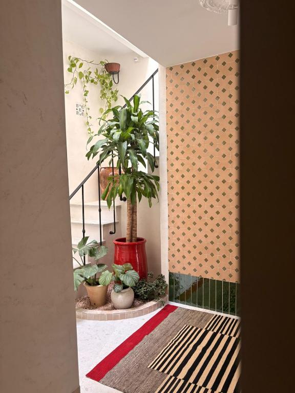 Casa Riad Calaire - Boutique stay - B&B Arcos de la Frontera