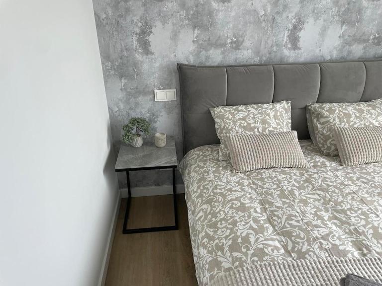 Stylish Apartment 5 min from Kaunas Clinics - Bed and Breakfast Kaunas