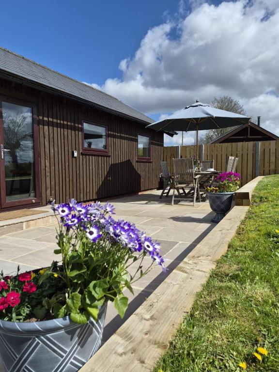 Finch Lodge - B&B Nawton