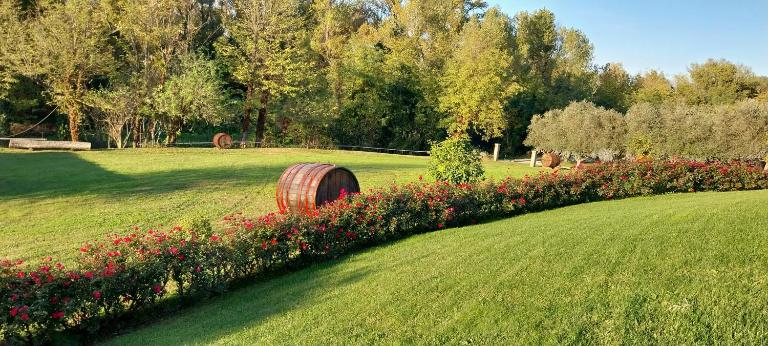 Agriturismo Mariotti Vite Maritata - B&B Calcinelli