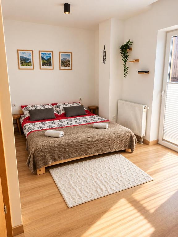 Koniówka 196 Apartament - Termalny Zakątek - Chambres d'hôtes Koniówka