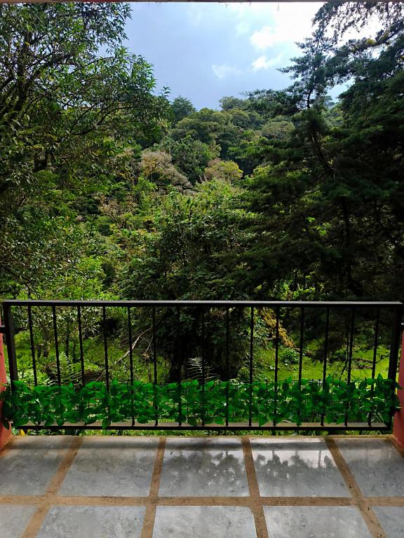 Katty Mountain View - B&B Concepción