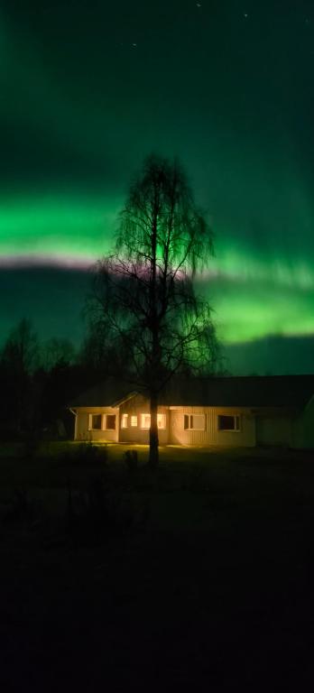 Sinetän Lomakoti - Chambres d'hôtes Rovaniemi