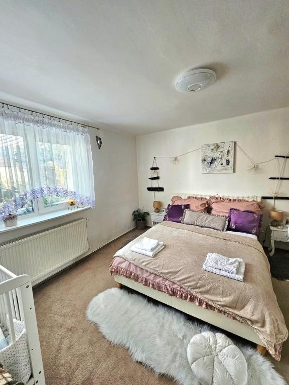 Ubytovanie Dana - B&B Piešťany