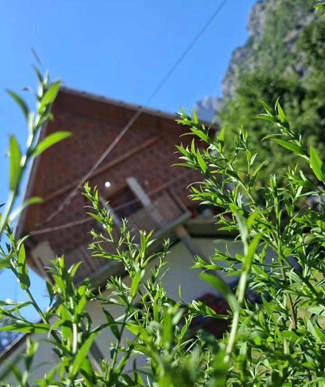 Ardi Selimaj - B&B Valbonë