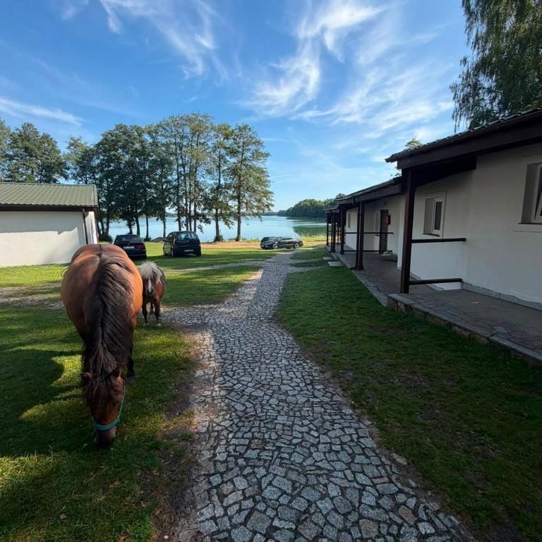 Domki nad Jeziorem Wisola - B&B Ciemnik