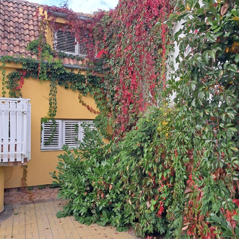 Golden House Apartments - B&B Čačak