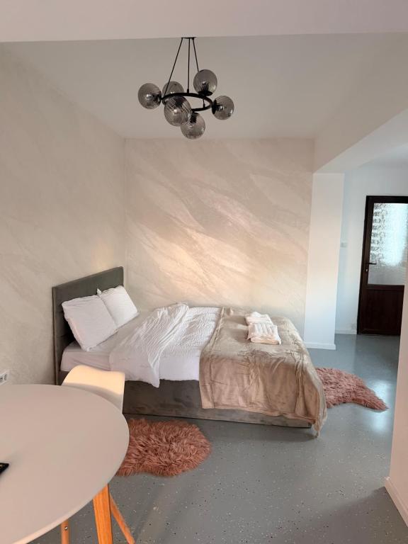 Urban Studio Bacău - B&B Bacău