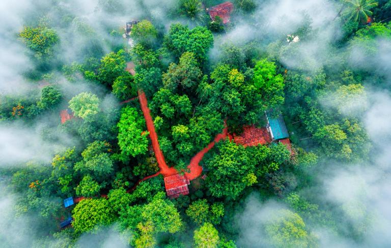 Coorg Humble nest resort Madikeri - Bed and Breakfast Suntikoppa