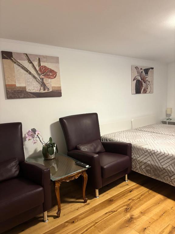 Zimmer in direkter Nähe zu Basel - Ferienwohnung Grenzach-Wyhlen