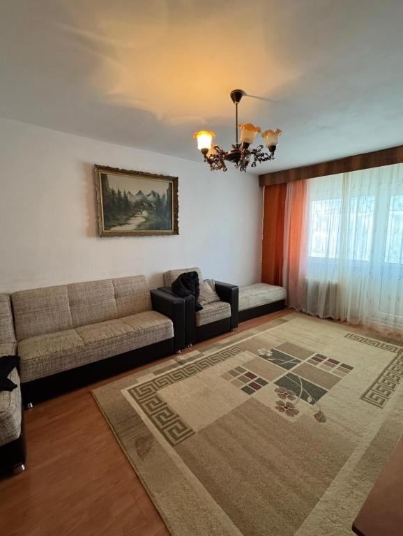 Vintage Charm Apartment Near Downtown - B&B Craiova